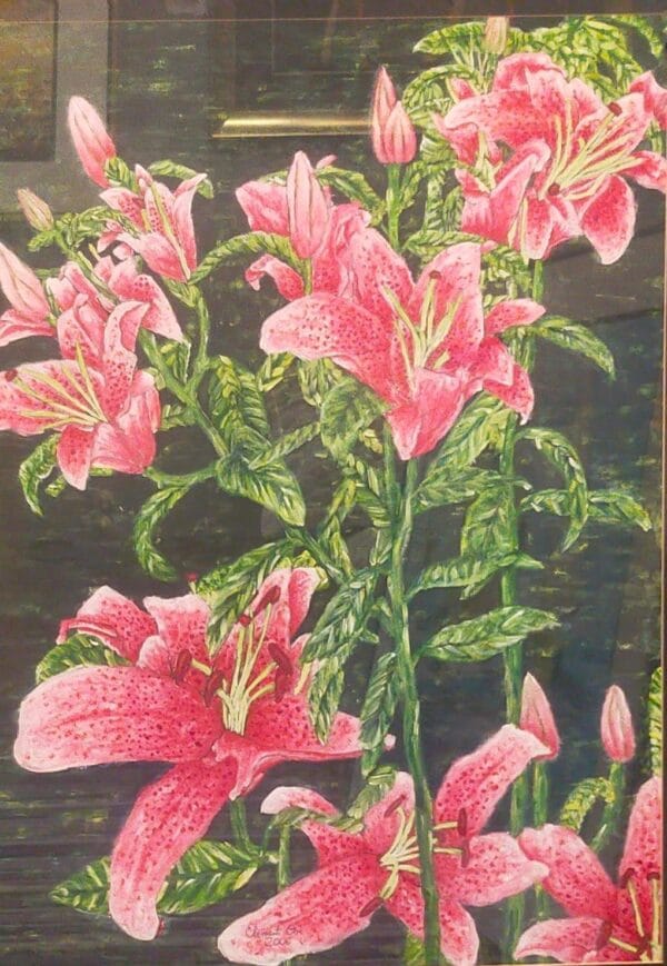 serenity in pink 2006