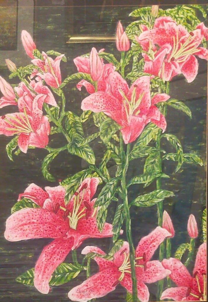 serenity in pink 2006