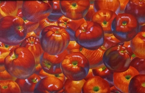 harmony and peace sr 2025