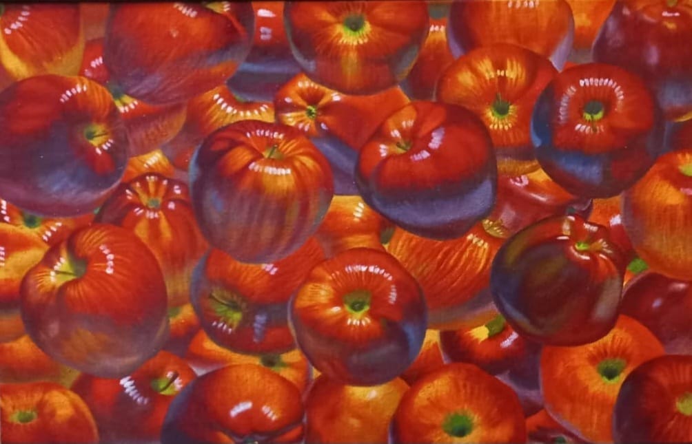 harmony and peace sr 2025