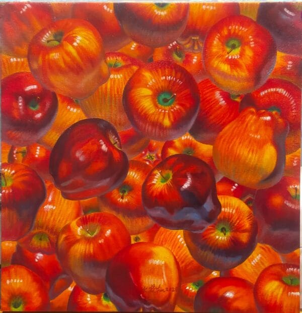 harmony and peace sr 2025