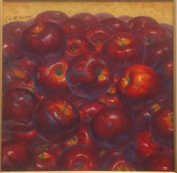 joyful living sr 2008