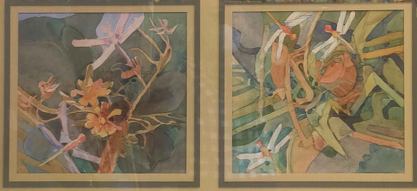 cakcibor 1994 (2 in 1)