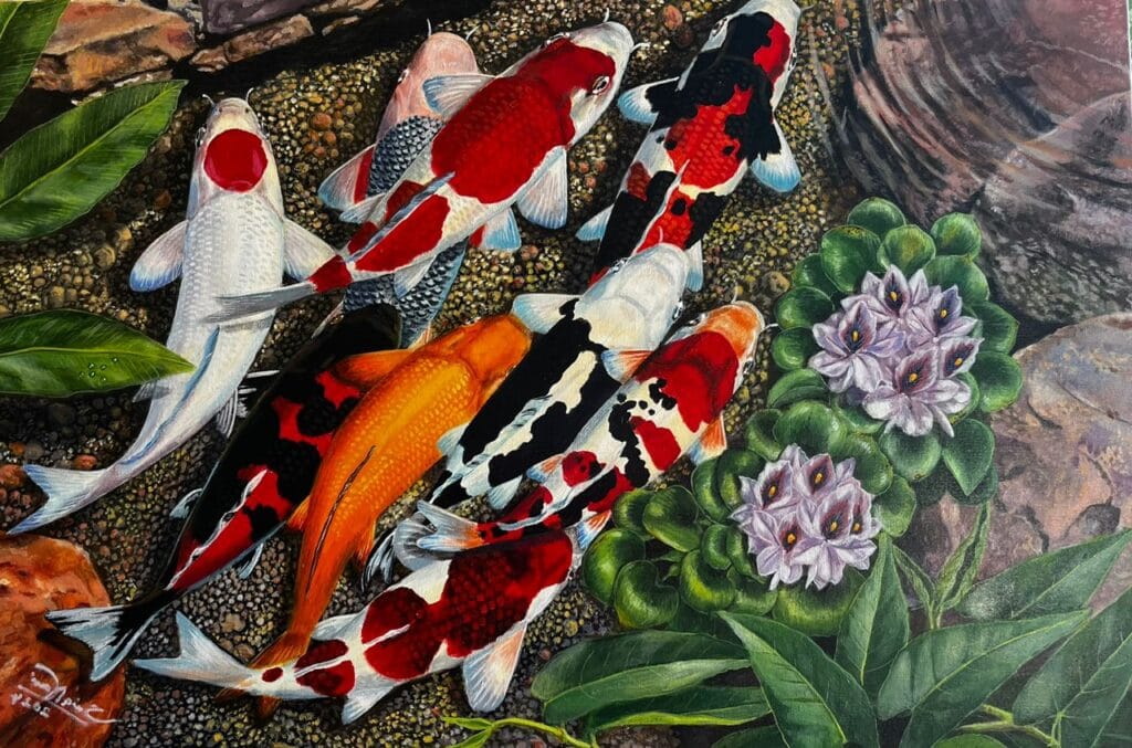 koi & water hyacinth 2024
